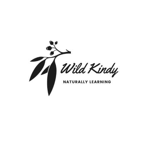 Wild Kindy
